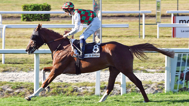 «إيلاف» و«تيما» في صراع على لقب ليوا بمضمار لاتست دو بوش الفرنسي
