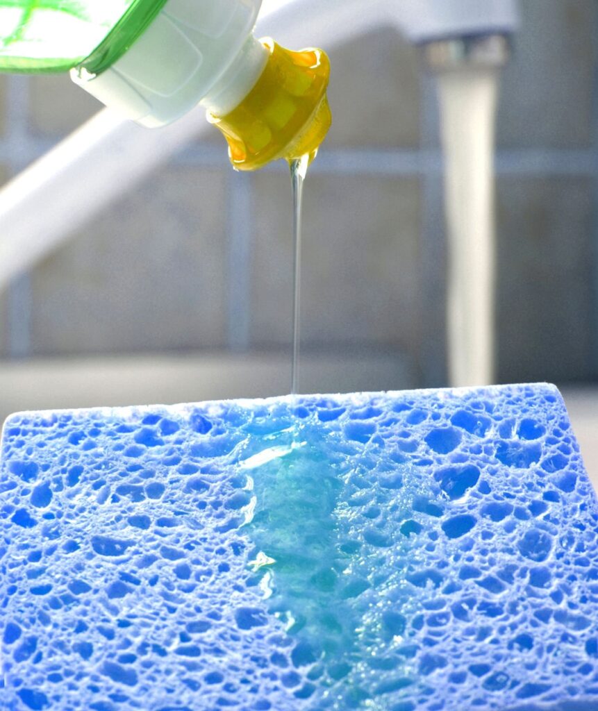 الإمارات نيوز