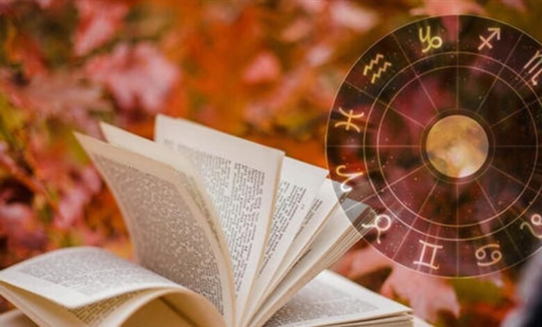 الإمارات نيوز