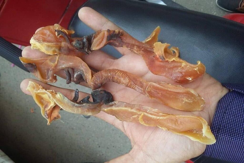 ما هي السرومباء أو الصرمباق تسلية السوايسة المفضلة؟- إليك فو