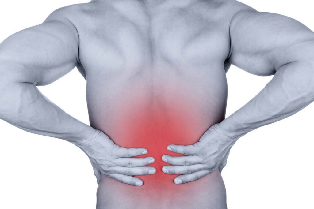 الإمارات نيوز